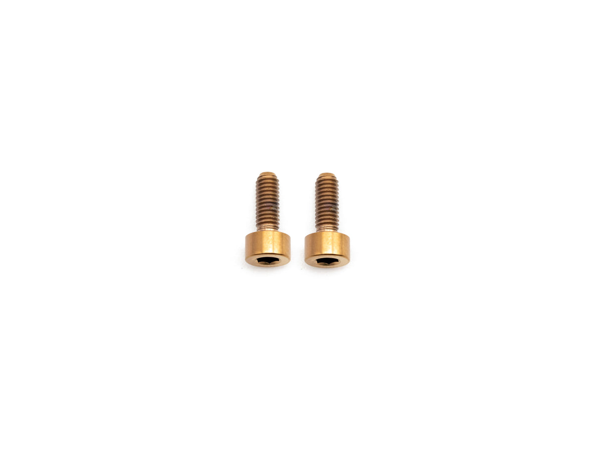 Avinox TCU Display Titanium Bolt Kit