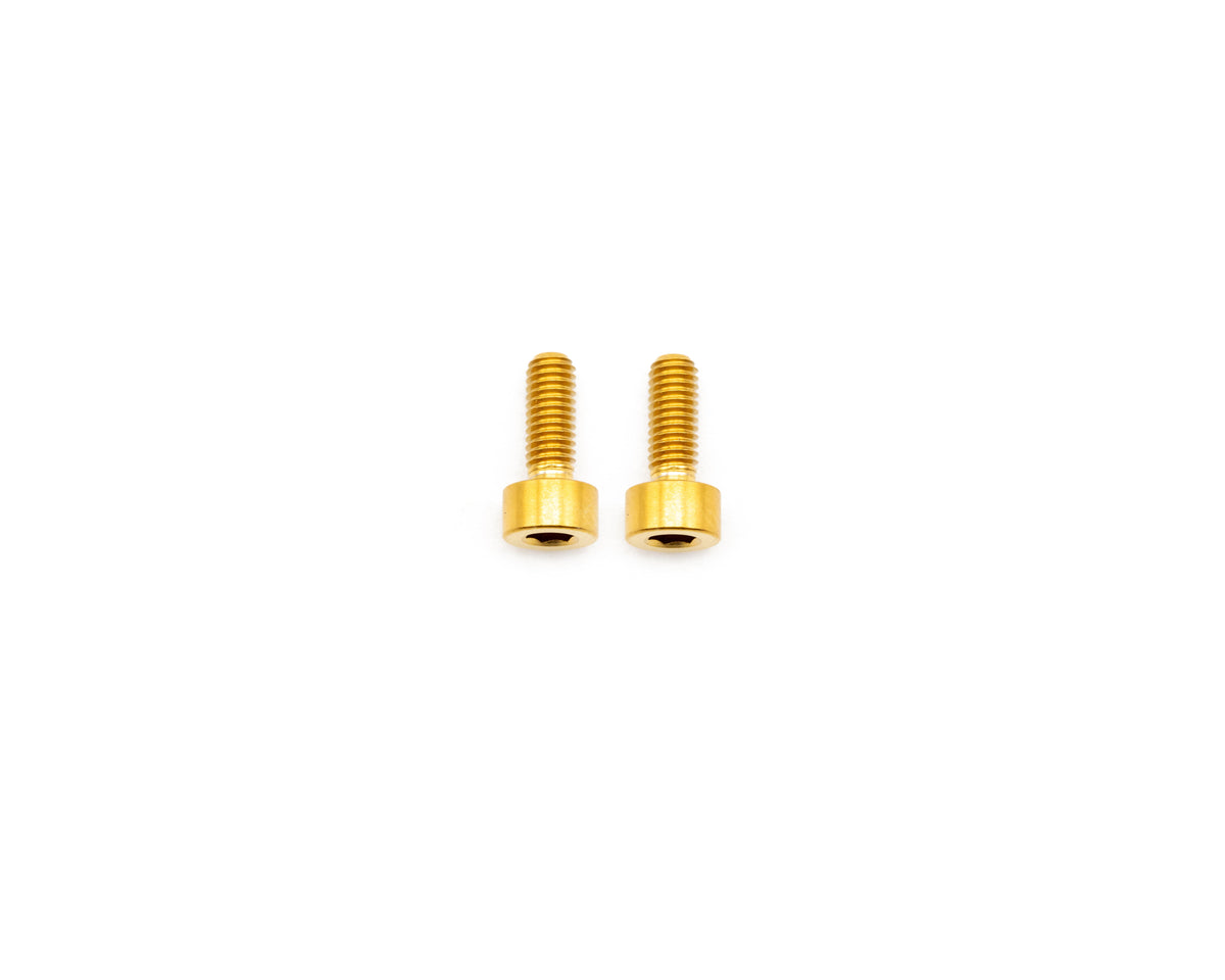 Avinox TCU Display Titanium Bolt Kit