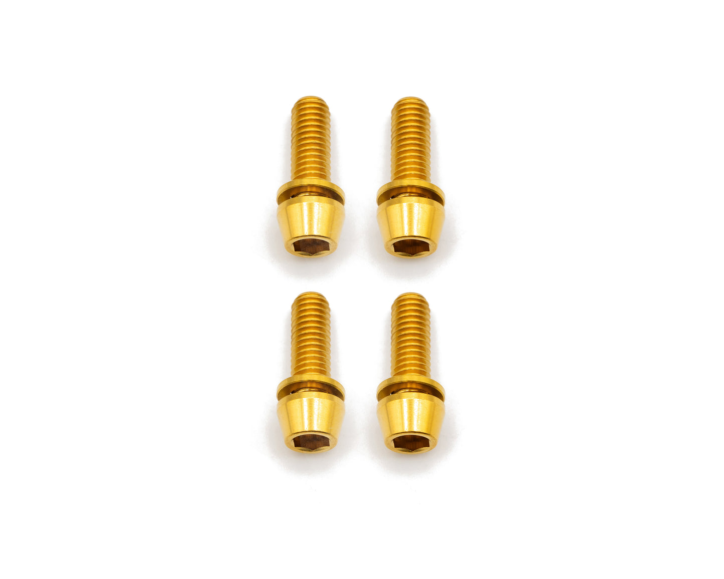 Brake Caliper Mounting Bolts - Mountain - Titanium