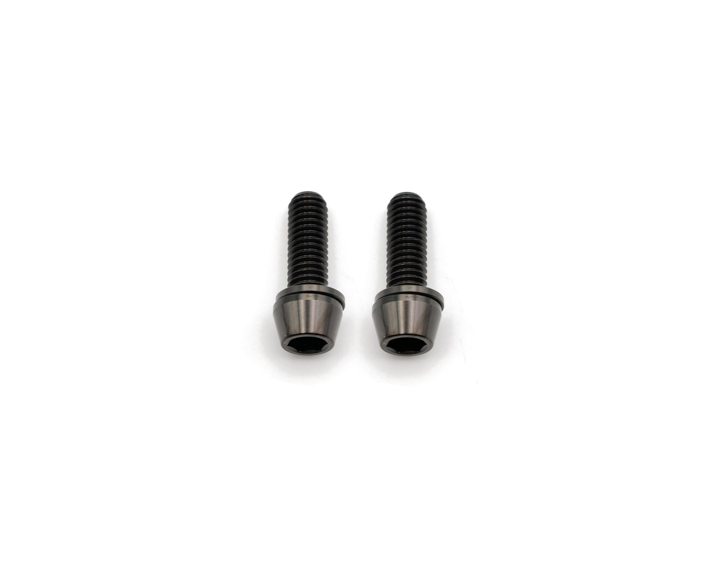 Brake Caliper Mounting Bolts - Mountain - Titanium