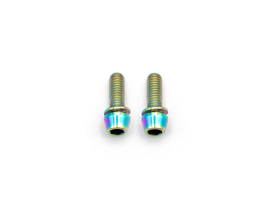 Brake Caliper Mounting Bolts - Mountain - Titanium