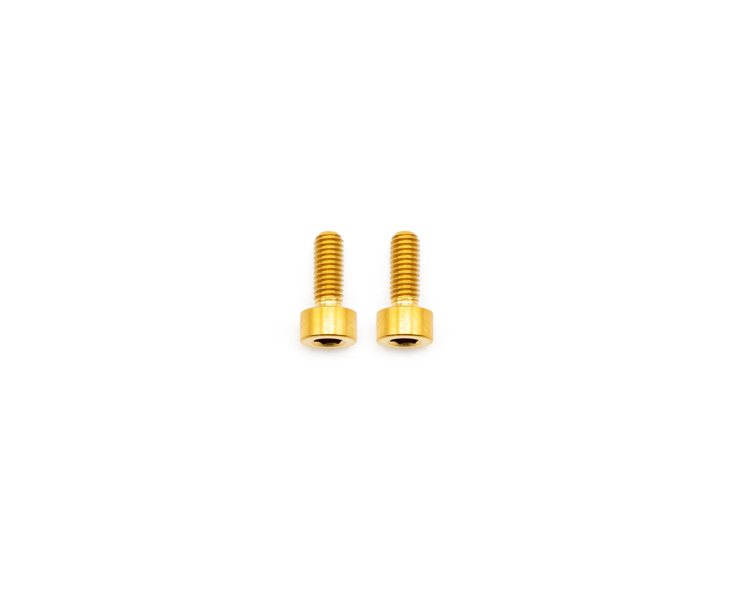 Fox Fork Titanium Bolt Kit