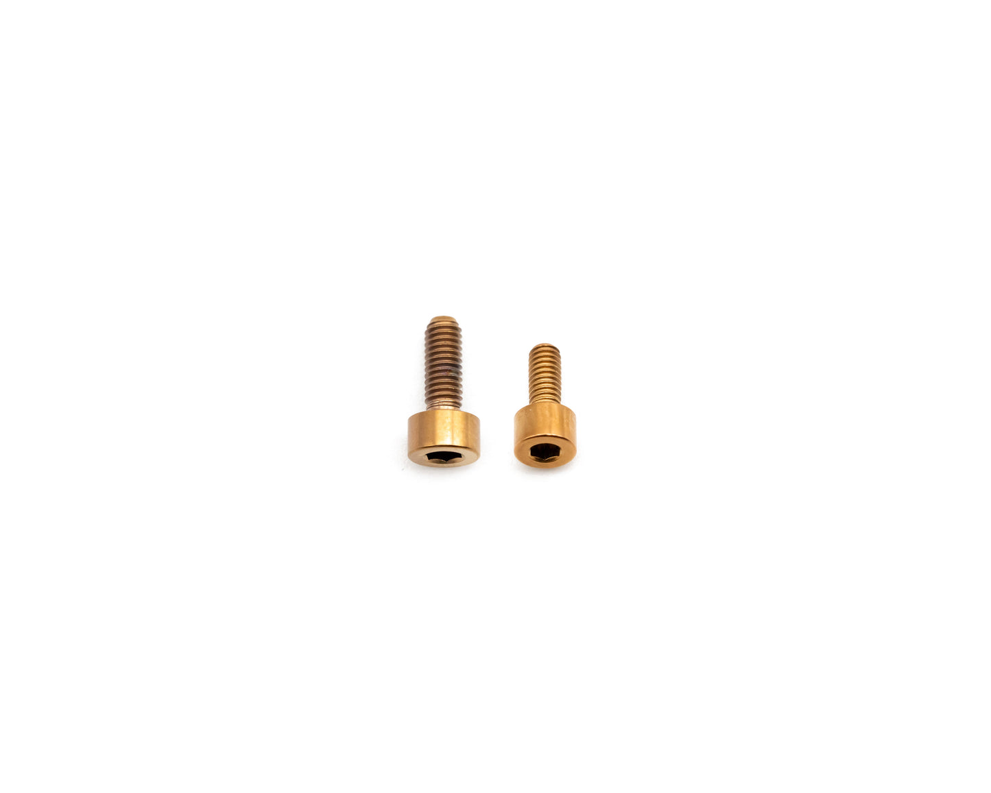 Fox Fork Titanium Bolt Kit