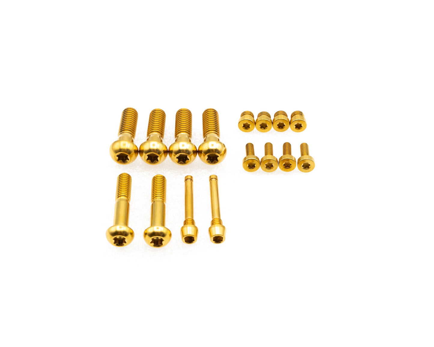 SRAM Motive Brakes Bolt Kit - Titanium